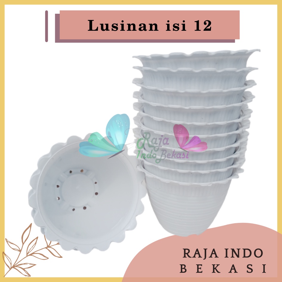 Pot Tawon Dahlia Super Tawon 10 Garden Of Love Pot Tawon Putih Pot Kaktus Mini Minimalis Lucu Murah Pot Tawon 10 Cm Putih Grosir