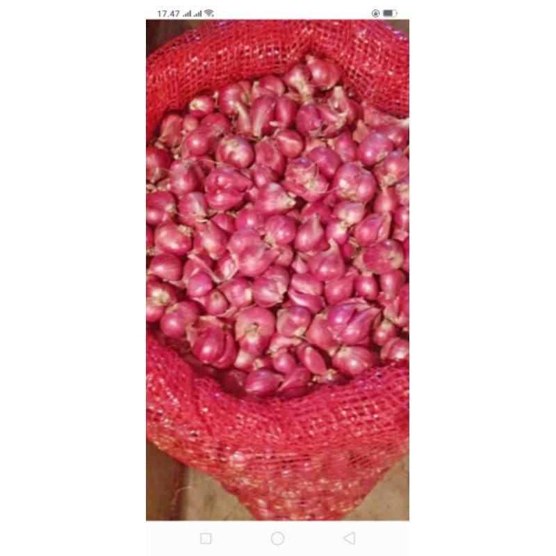 

bawang merah sedang 1kg