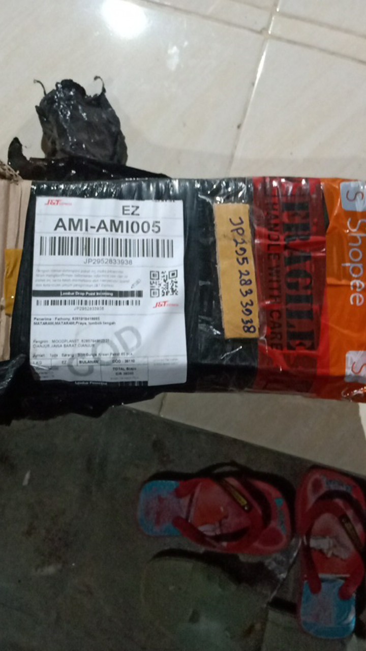 Tanaman Hias Bibit Bunga Krisan Paket 65 Pcs