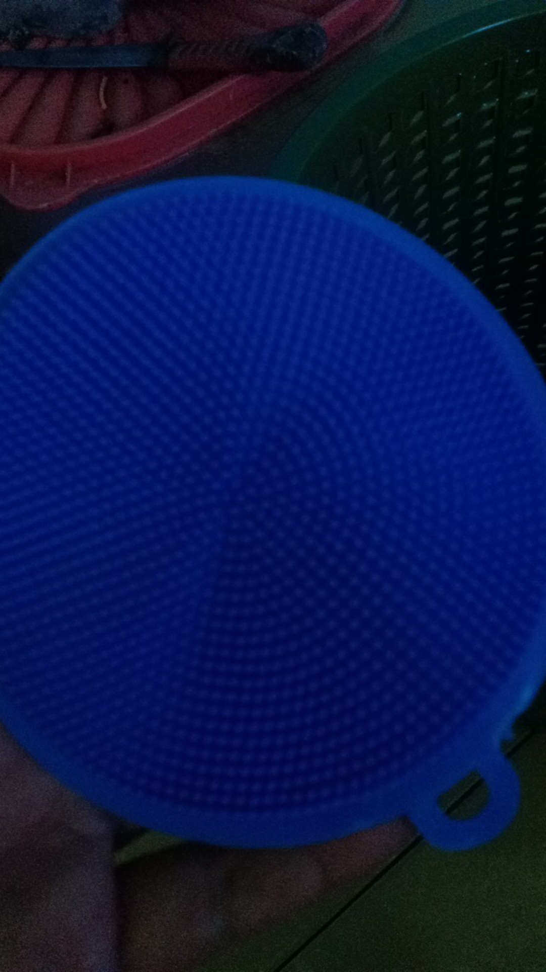 Diswashing Silicone - Spons Cuci Piring Anti Bakteri Silikon