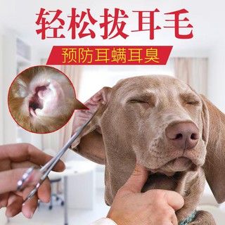 Penjepit Rambut Bulu Anjing Kucing Shopee Indonesia