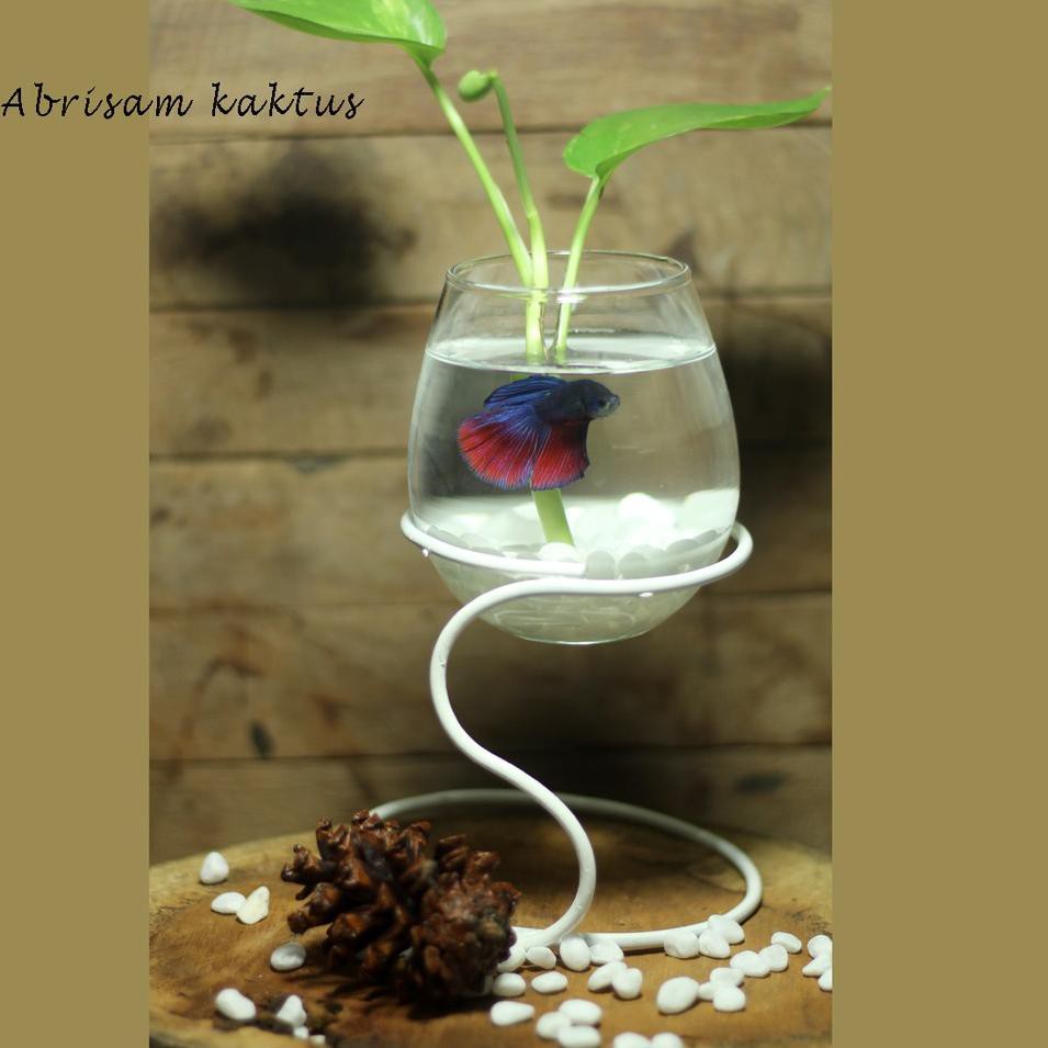 VEN PAKET VAS AQUARIUM MINI HIASAN MEJA KAMAR DEKORASI RUMAH TANAMAN CUPANG STANDING TERRARIUM HIDRO