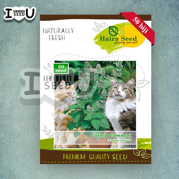 Haira Seed Bibit-Biji Catnip Common