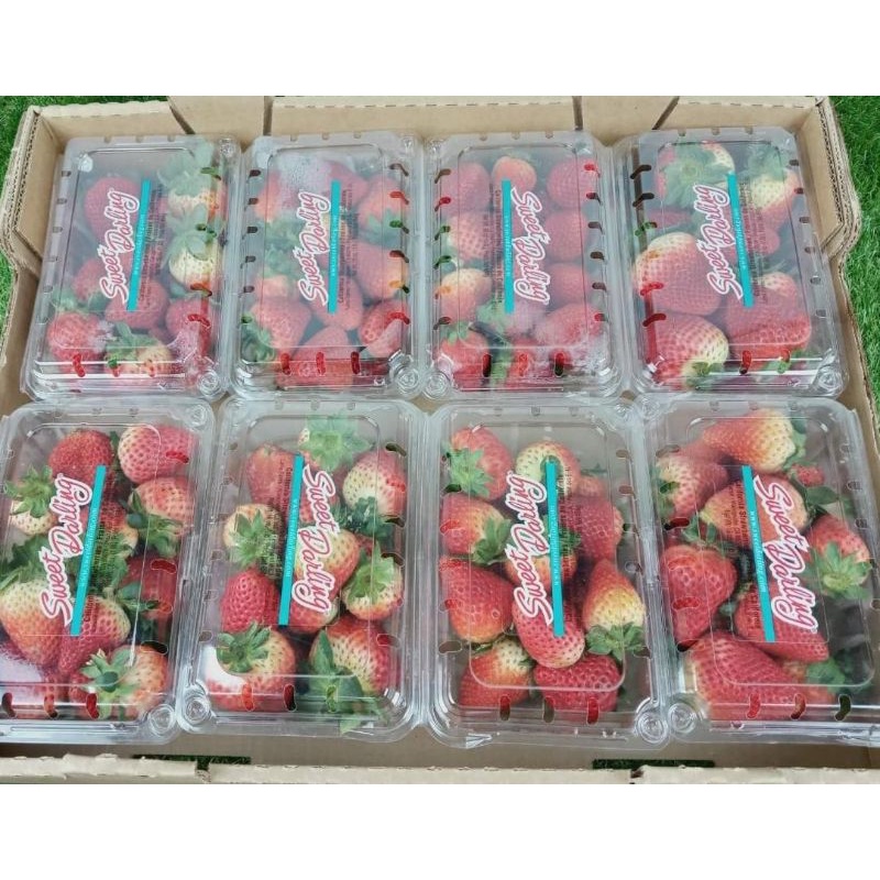 

Strawberry USA sweet Darling 450 gram