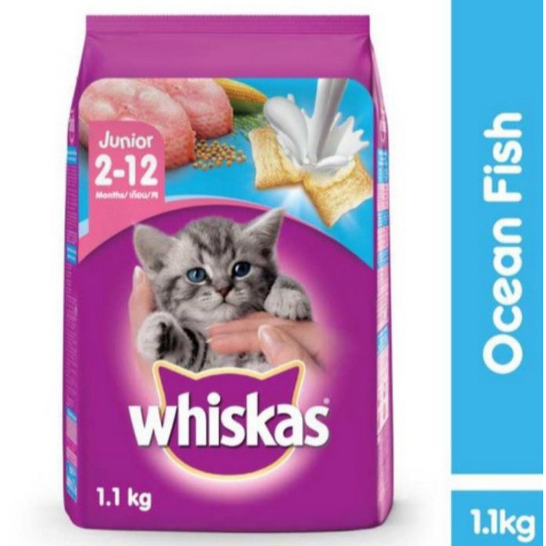 WHISKAS JUNIOR FRESPACK 1,1KG KITTEN OCEAN FISH FAVOR