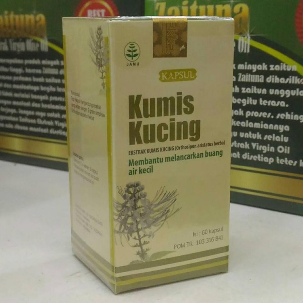 Herbal Infeksi Saluran Kemih Kapsul Kumis Kucing