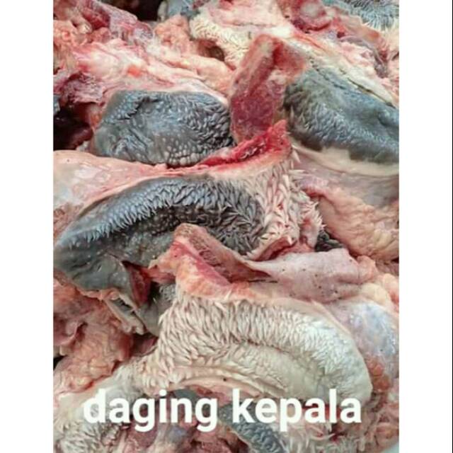 

DAGING KEPALA 500gr