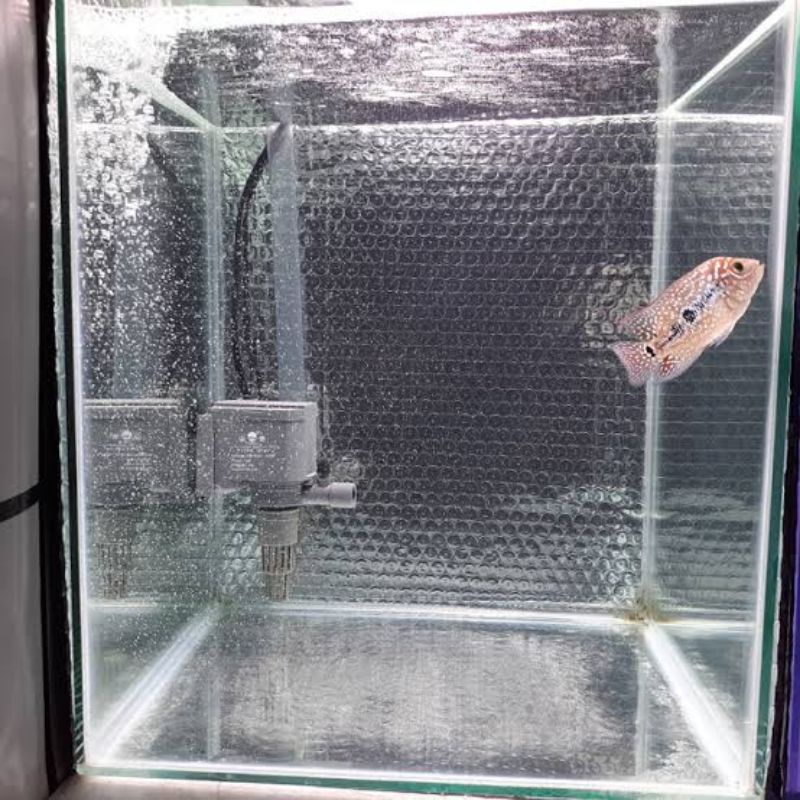 BACKGROUND LOUHAN / TANNING MUTIARA /BUBBLE FOIL