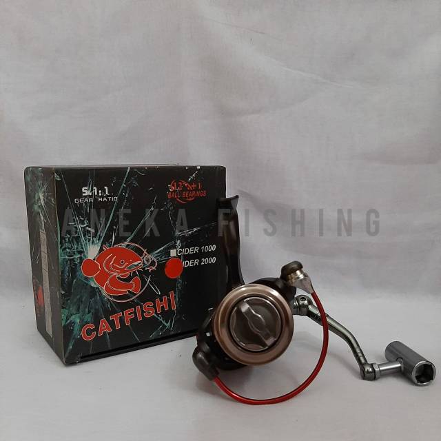 REEL CATFISH CIDER 2000 || REEL PANCING CATFISH || RELL CATFISH