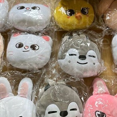 [Booked] Cushion Skzoo