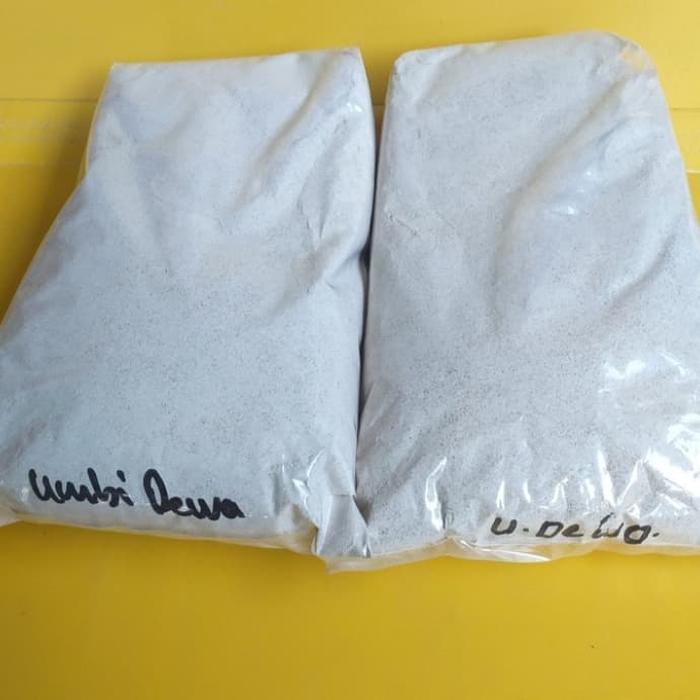 

Herbal Umbi Dewa Asli Bubuk Murni 500 gram