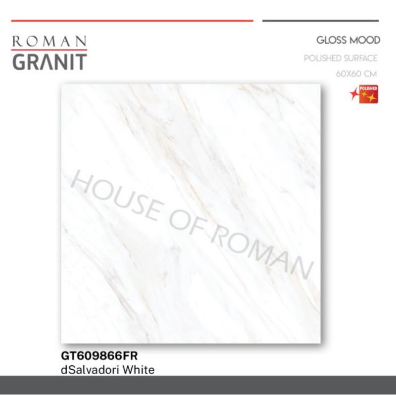 Roman Granit dSalvadori white 60x60 / Roman Granit / lantai granit / granit murah / granit minimalis / lantai minimalis / lantai motif / lantai marmer / lantai estetik / lantai glossy