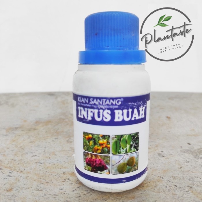 Aneka Pupuk POC Tanaman Hias Bunga Anggrek Aglonema Daun Buah Monstera