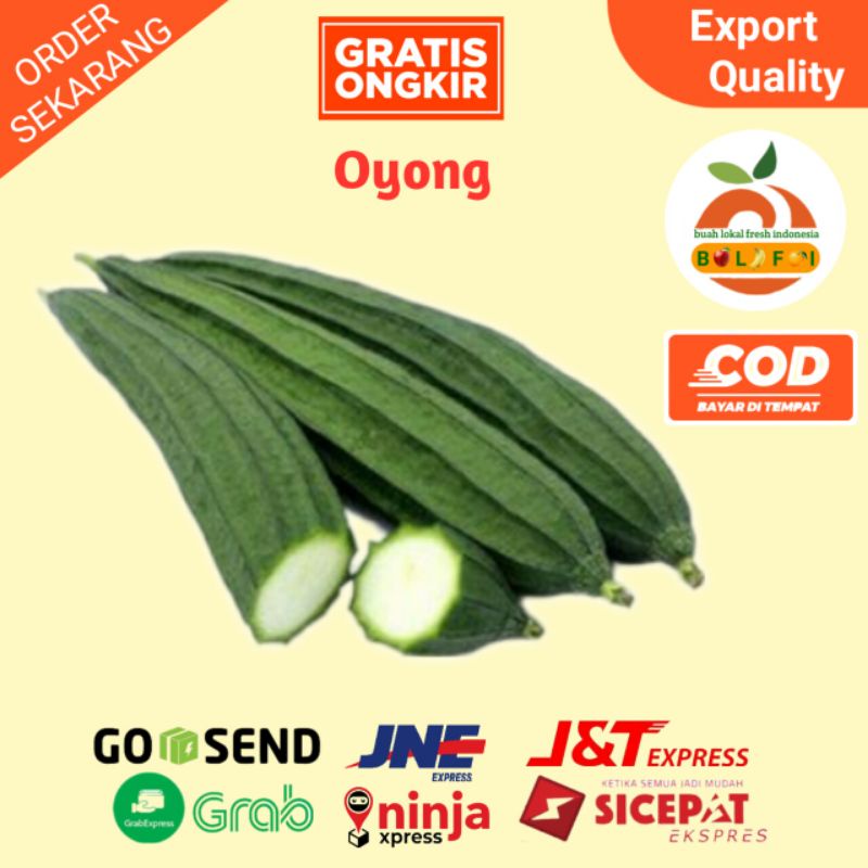 

SAYURAN OYONG FRESH