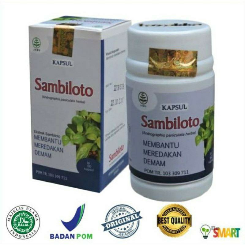Extrak Sambiloto Antibiotik Alami 60 kapsul