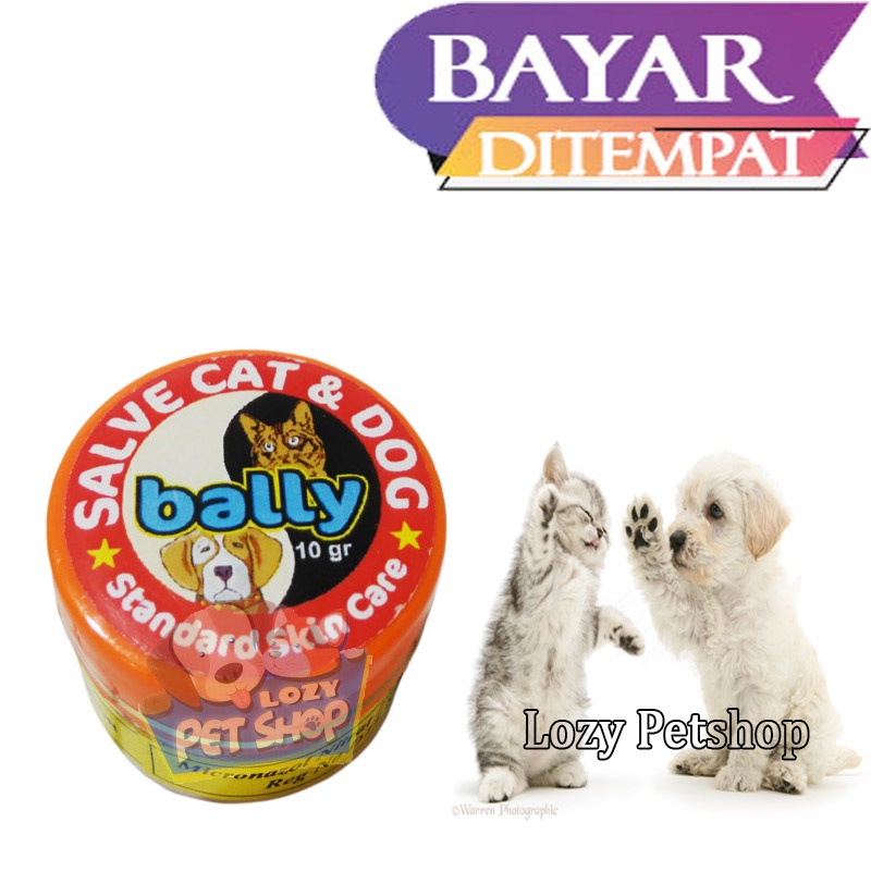 OBAT JAMUR KUCING LUKA KORENG ANJING SCABIES ANAK KUCING PUPPY SALEP BALLY