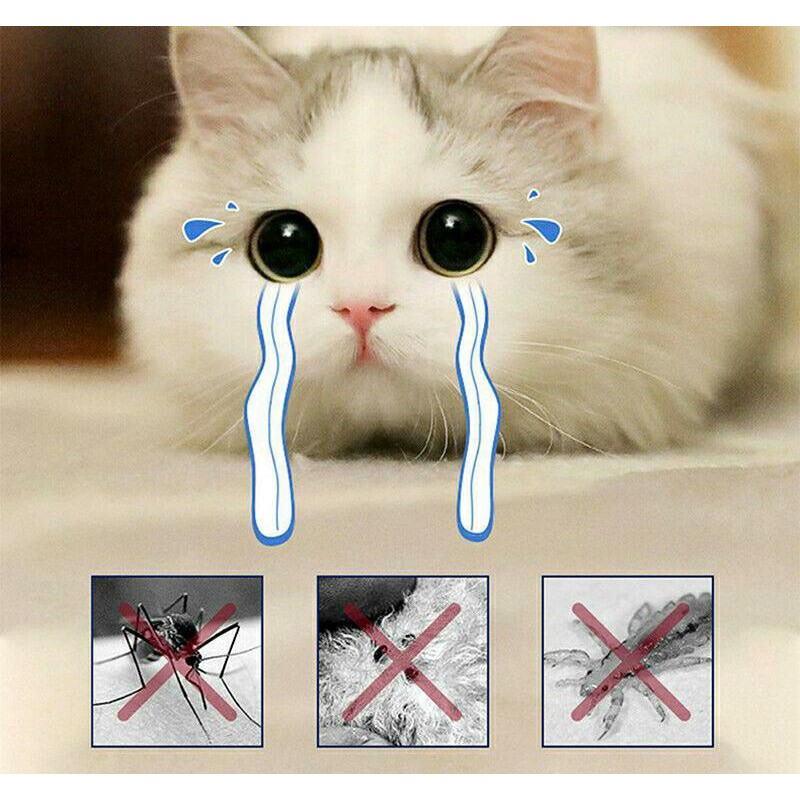 Kalung Leher Anjing / Kucing Anti Kutu / Nyamuk