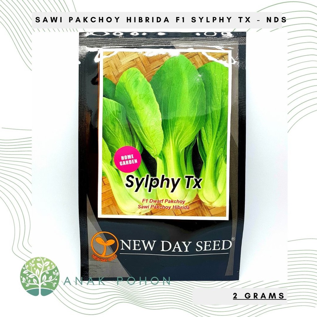 (1 PACK) Benih Sawi Pak Choy Dwarf Hibrida F1 Sylphy Tx - New Day Seed