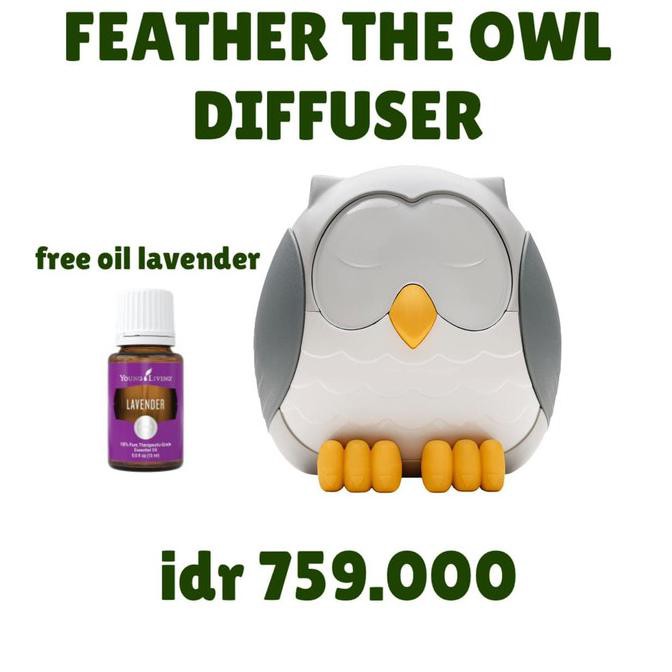 Owl Diffuser Humidifier Young Living Free Lavender Oil *