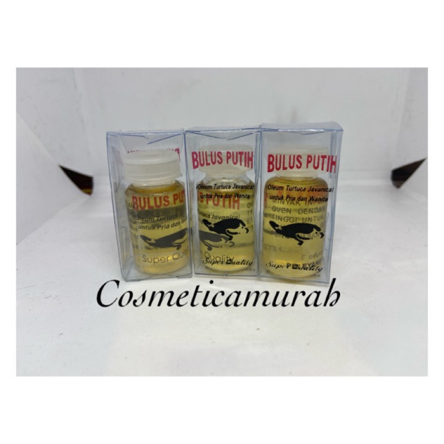 Minyak bulus original - bulus eyang // minyak bulus putih