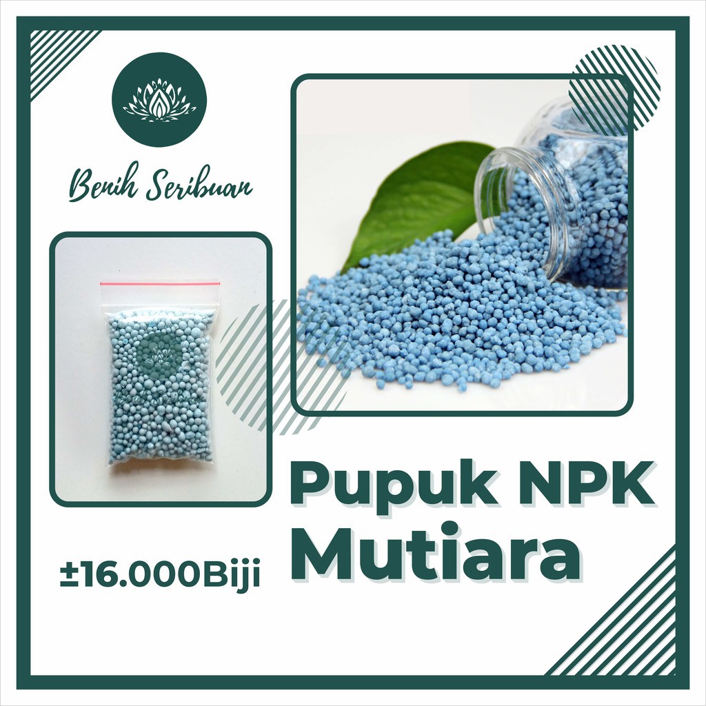 Pupuk NPK Mutiara 161616 Cap Tawon Nutrisi Lengkap Pertumbuhan Pembuahan Bibit Sayuran Bunga &amp; Buah