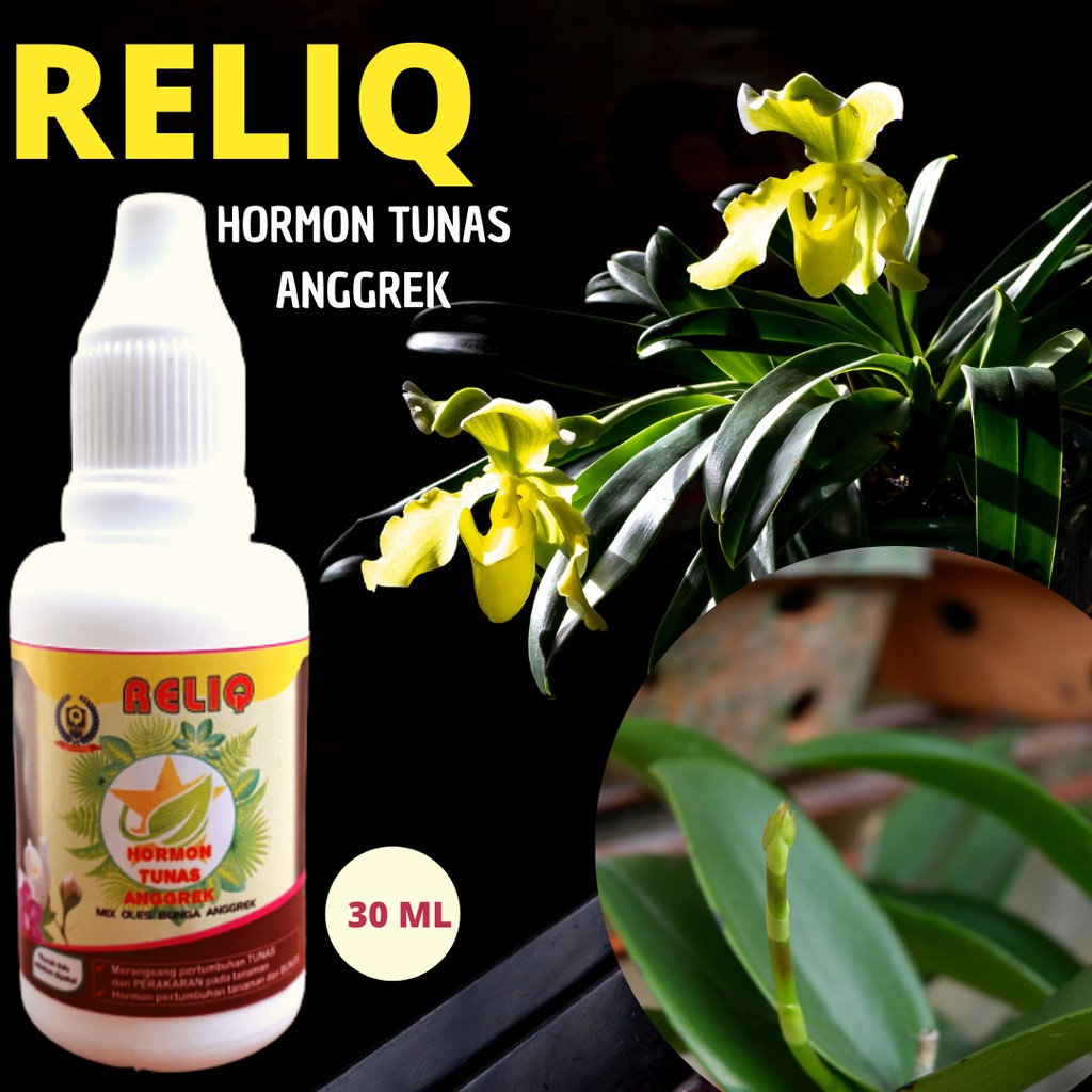 Pupuk Penumbuh Tunas, Hormon Anggrek Nutrisi Perangsang Akar Anggrek, Pupuk Perangsang Akar Tanaman