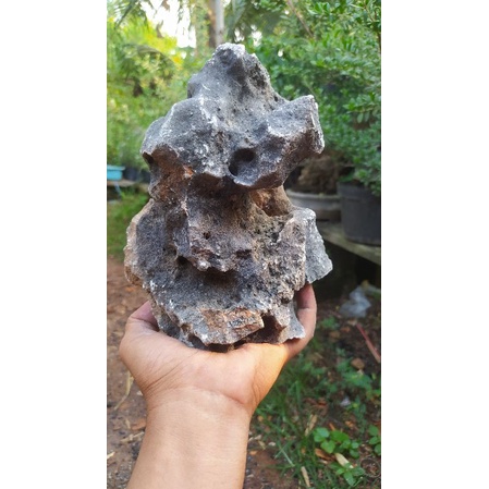 batu karang gunung realpict