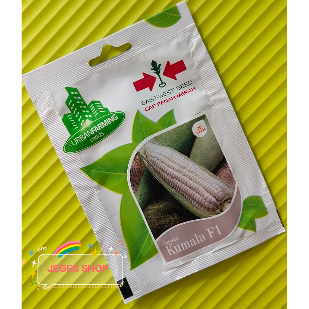 Jagung Pulut Kumala F1