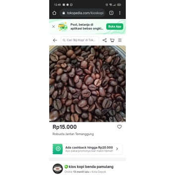 

Robusta Jantan Temanggung
