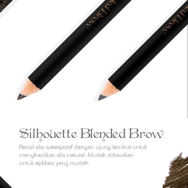 MADAME GIE SILHOUETTE BLENDED BROW @MJ