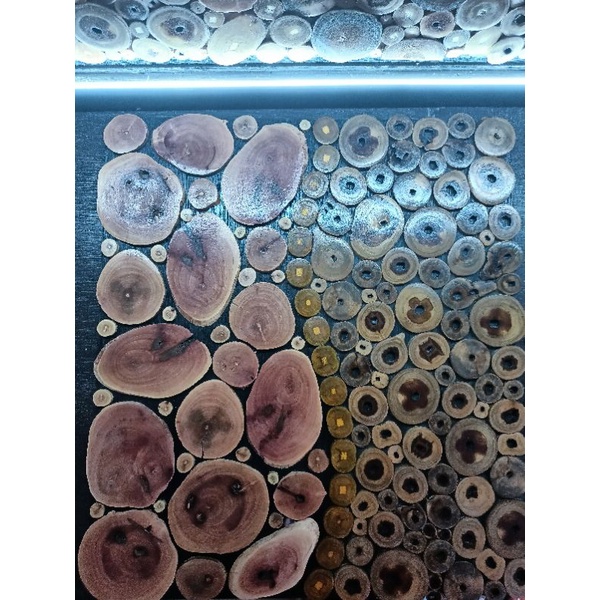 teakwood wallart3