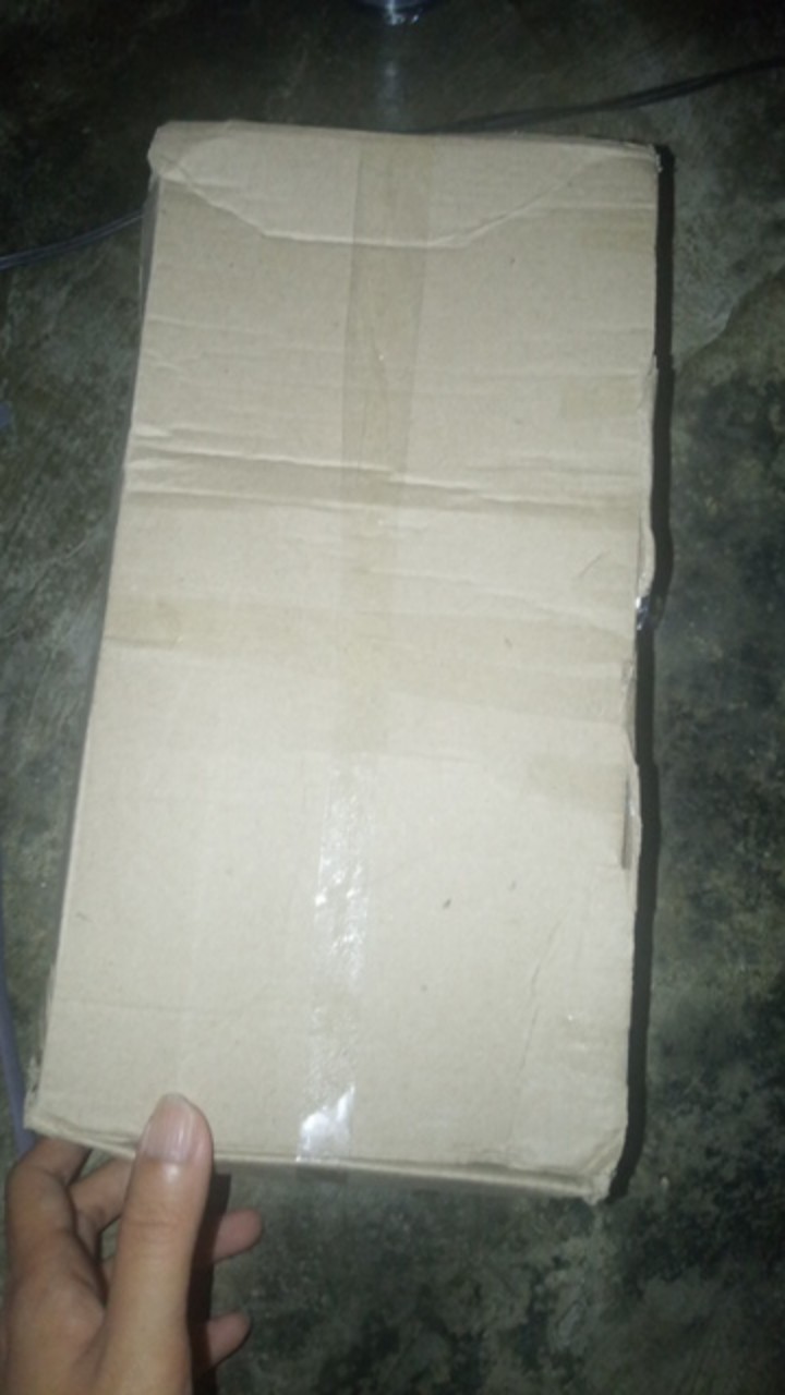 Esw Dus Kotak Box Sepatu Sebagai Packing Tambahan