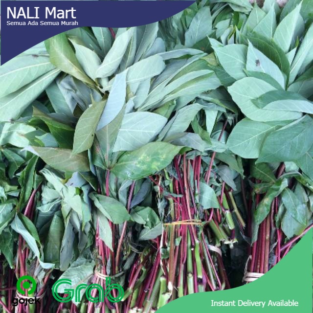 

Daun Singkong/Daun Ubi Segar Sayur Online KHUSUS MEDAN