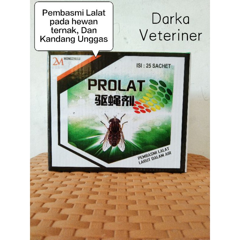 racun lalat prolat