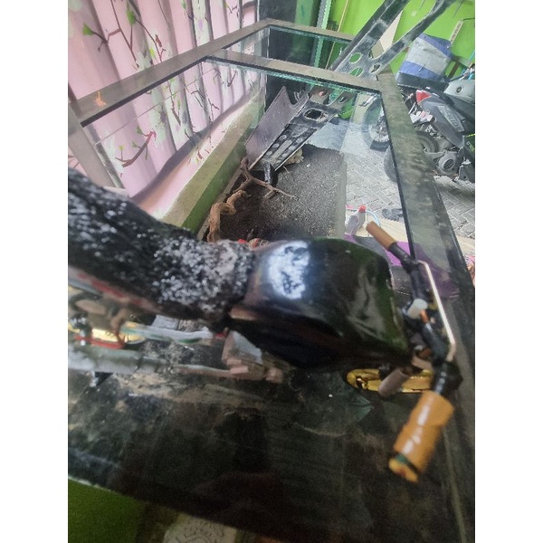 miniatur motor herex Tiger revo