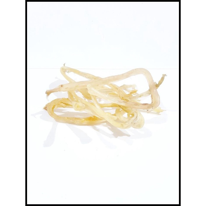 

Urat Babi. Otot Babi. Pork Muscle. Tu Kha Kin. Mentah Kering Premium