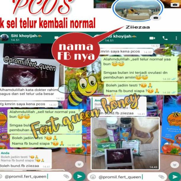 

ネ FERT QUEEN HONEY MADU PROMIL PENYUBUR KANDUNGAN PASUTRI ㄾ