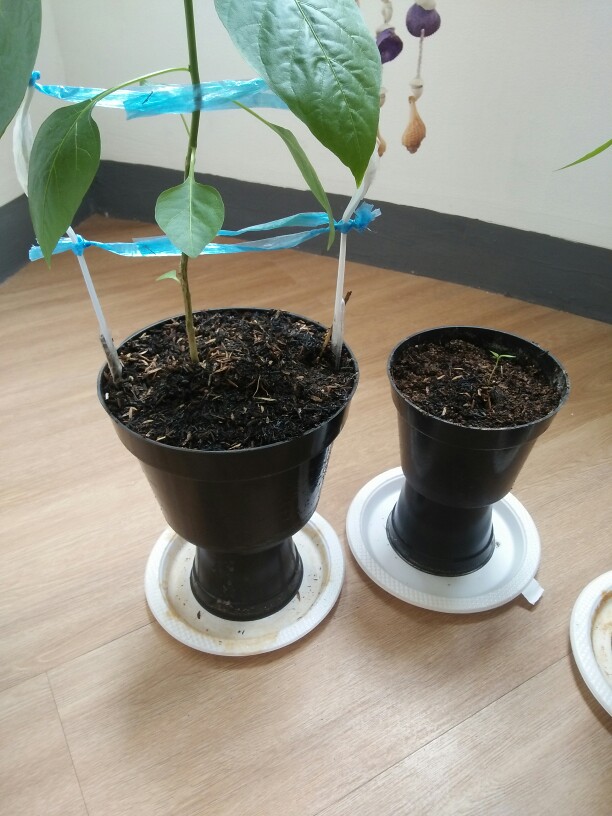 10 Pcs Plastik Polybag Hitam 12x12 Cm Eceran Per Lembar | Polibag | Plastik Hitam