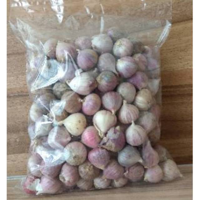 

BAWANG PUTIH TUNGGAL 1KG