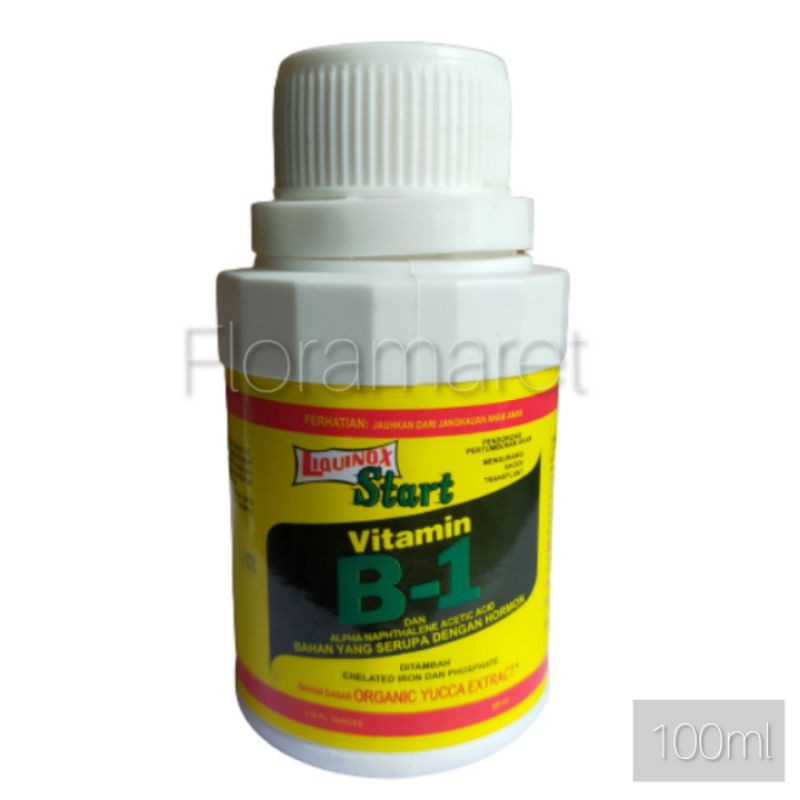 Pupuk vitamin B1 100ml  - Pupuk Liquinox start vitamin B1 100ml