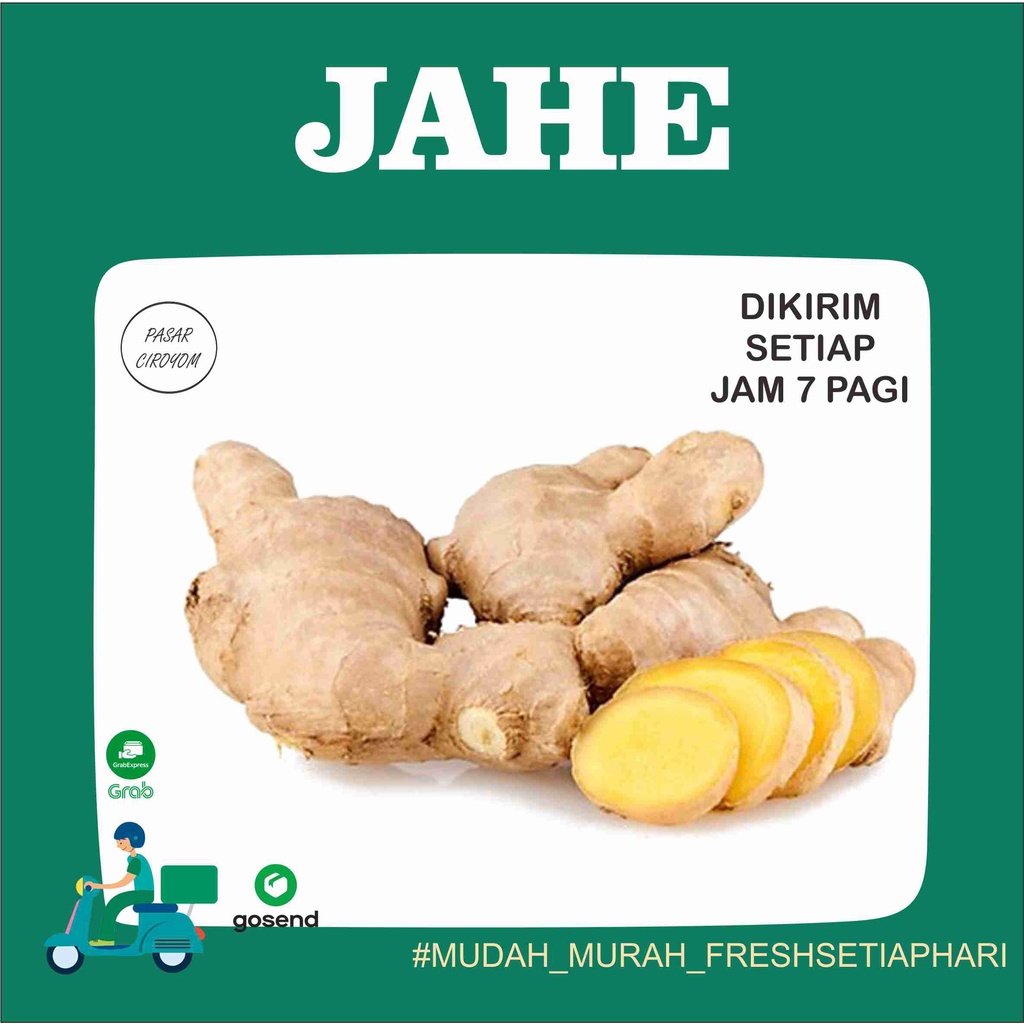 

JAHE PUTIH JAHE GAJAH FRESH MURAH BANDUNG