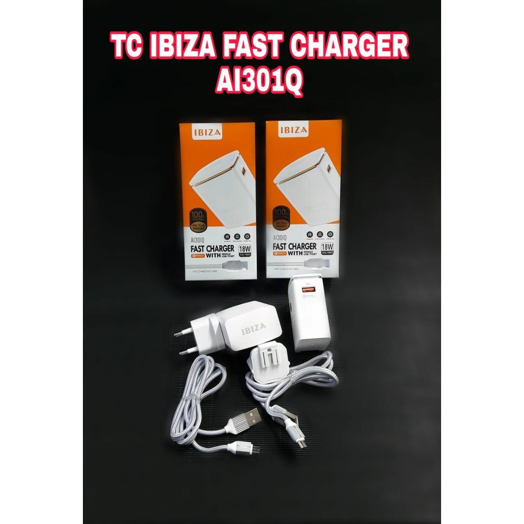 Charger Ibiza A1301Q