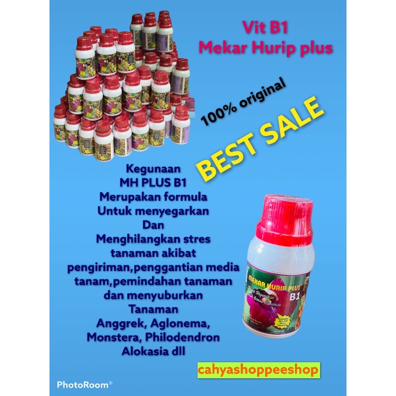 B1 Vitamin MEKAR HURIP PLUS