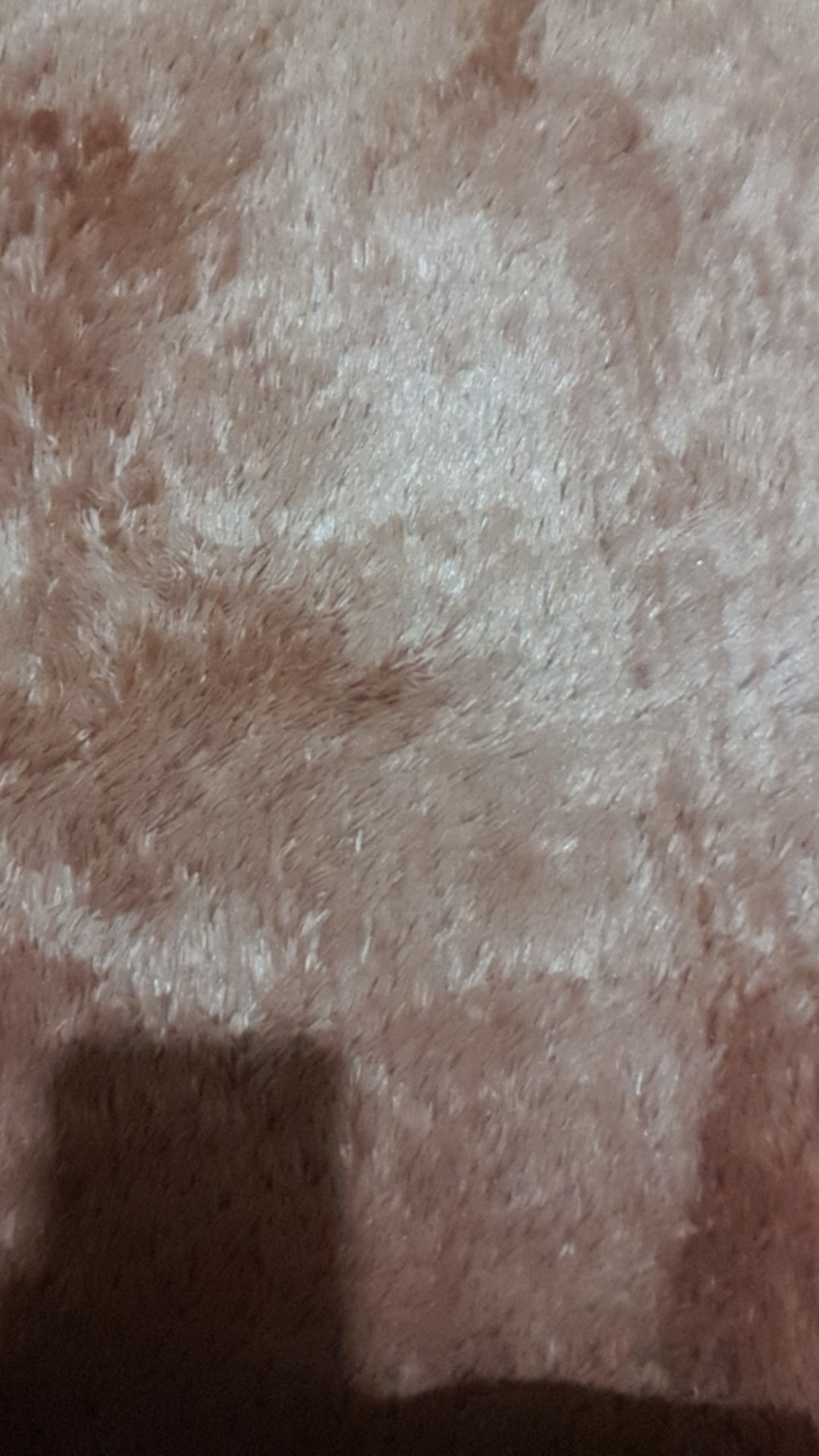 [kasur No.1] Karpet Bulu Tebal 6,5cm Ukuran 200x180cm