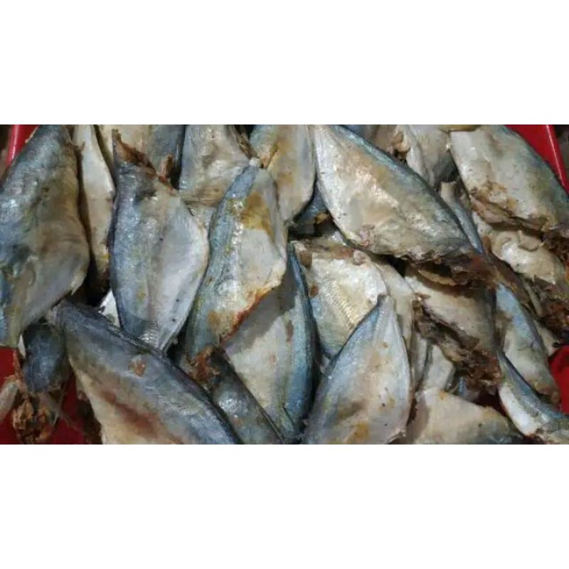 

peda buntung1kg