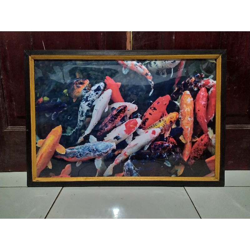 lukisan cetak ikan koi asia plus bingkai ukuran 65 x 45 cm
