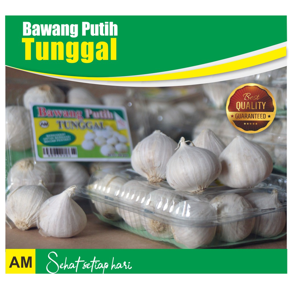 

Bawang Putih Tunggal