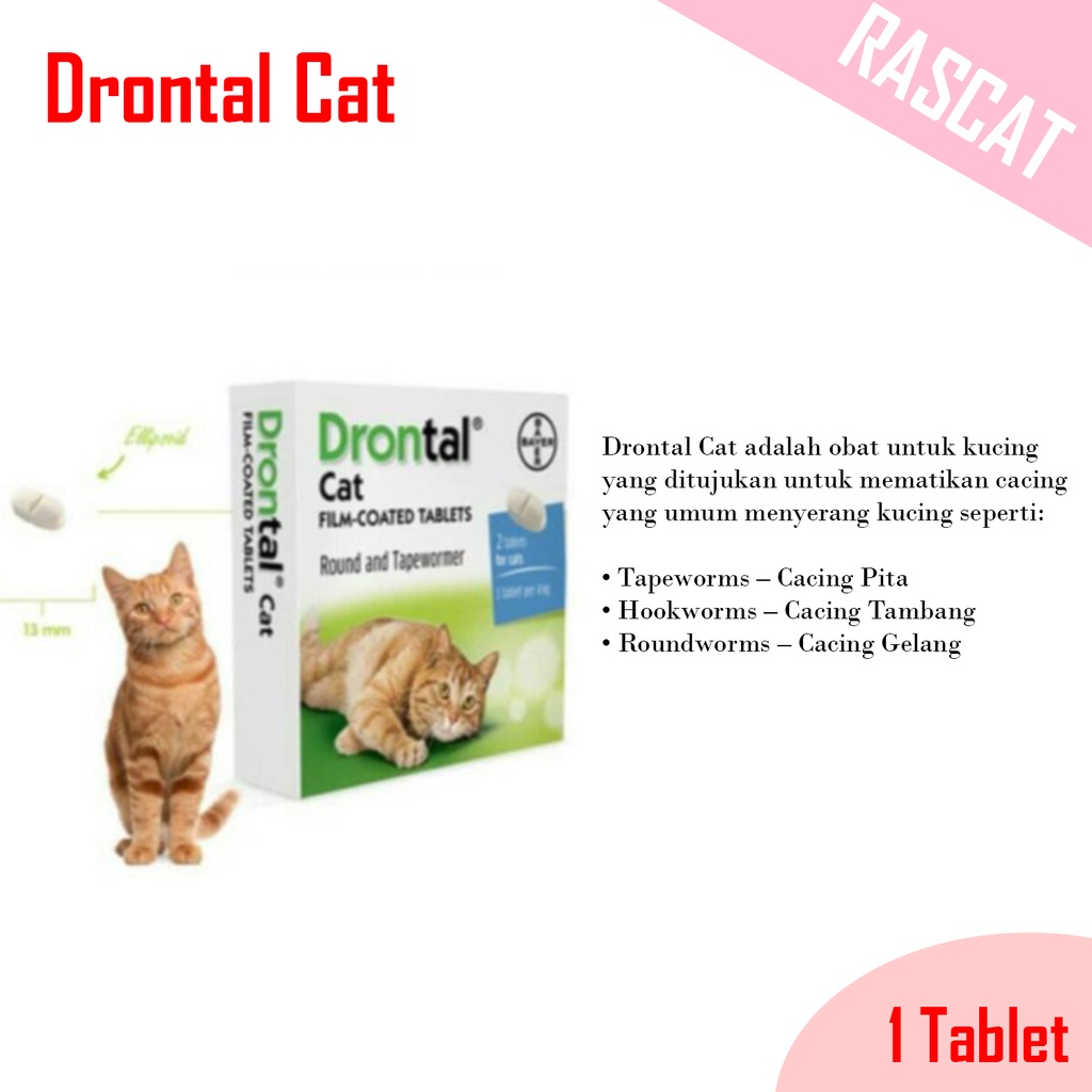 Drontal Cat EXP 2025 Obat Cacing Kucing 1 Tablet Original  Shopee 