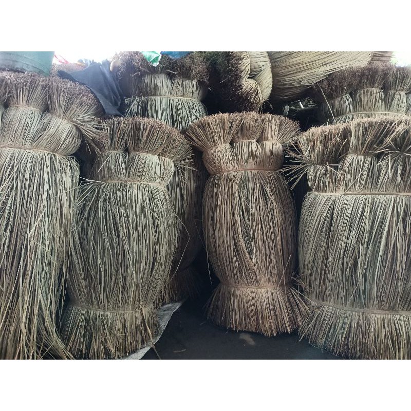 rumput mendong purun bahan dasar tali mendong tanaman bahan kerajinan tangan anyaman