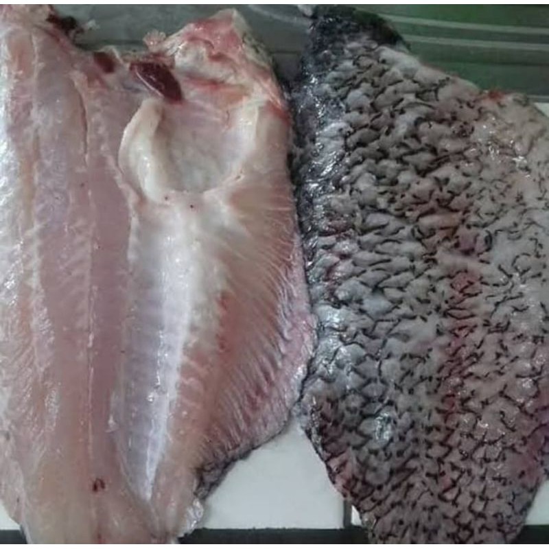 

Gurame Fillet 1kg